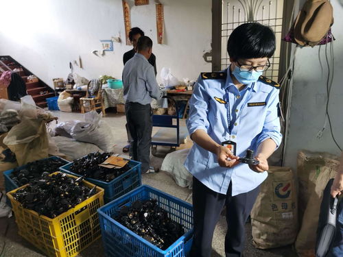 浙江發布打擊侵權假冒商品典型案例，化妝品批發領域成重點