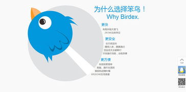 笨鳥海淘 把轉(zhuǎn)運物流打到極致,做海淘供應(yīng)鏈?zhǔn)袌龅南蕊w笨鳥